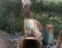 Фотография ДС-10 рубительная машина (дробилка древесных отходов)